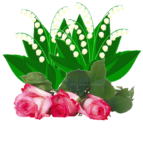 slt